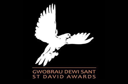 Press & Awards St Davids Business Award Finalist